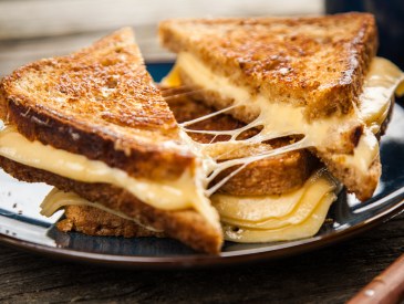 grilled cheese sandwich