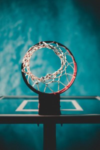 basketball net