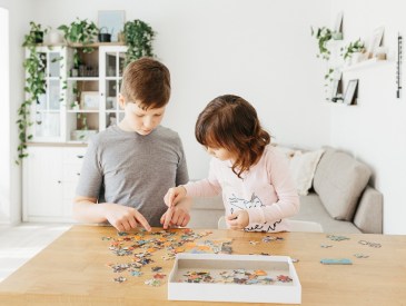 Best Jigsaw Puzzles on Amazon