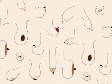 facts-about-boobs