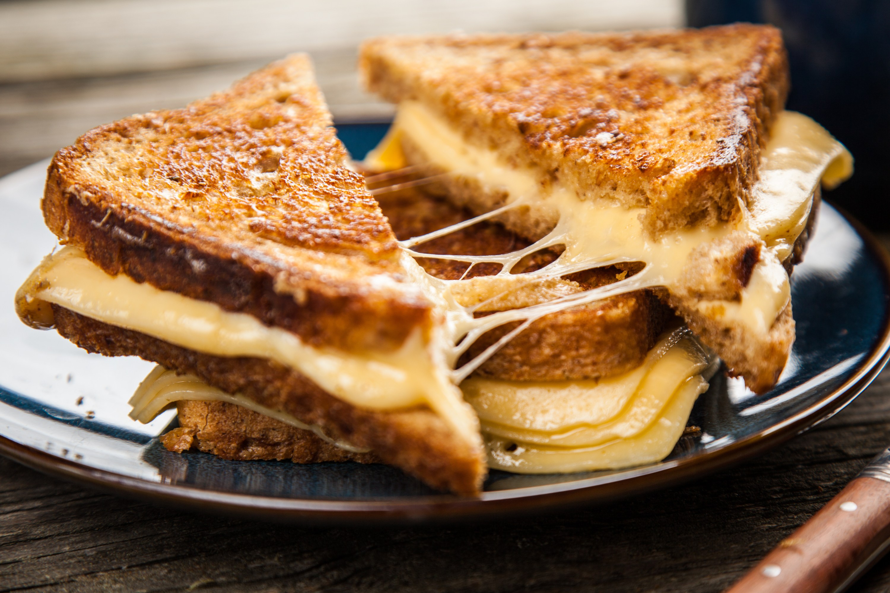 grilled cheese sandwich
