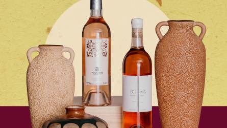 Best mexican wines